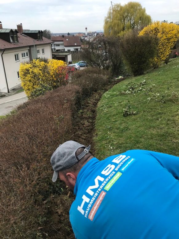 Heckenschnitt durch Hausmeisterservice