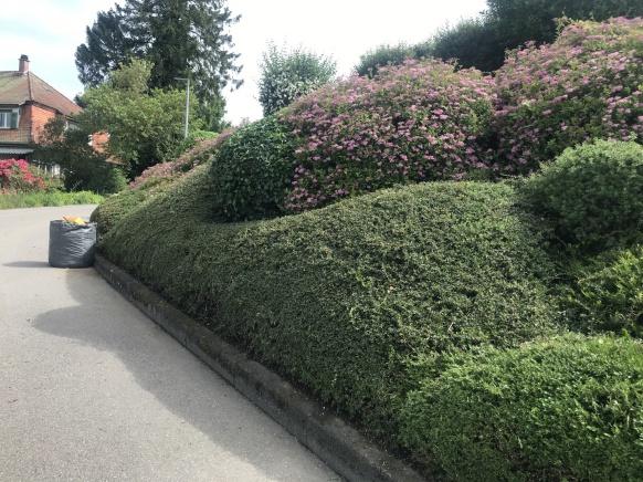 Grünanlage 7